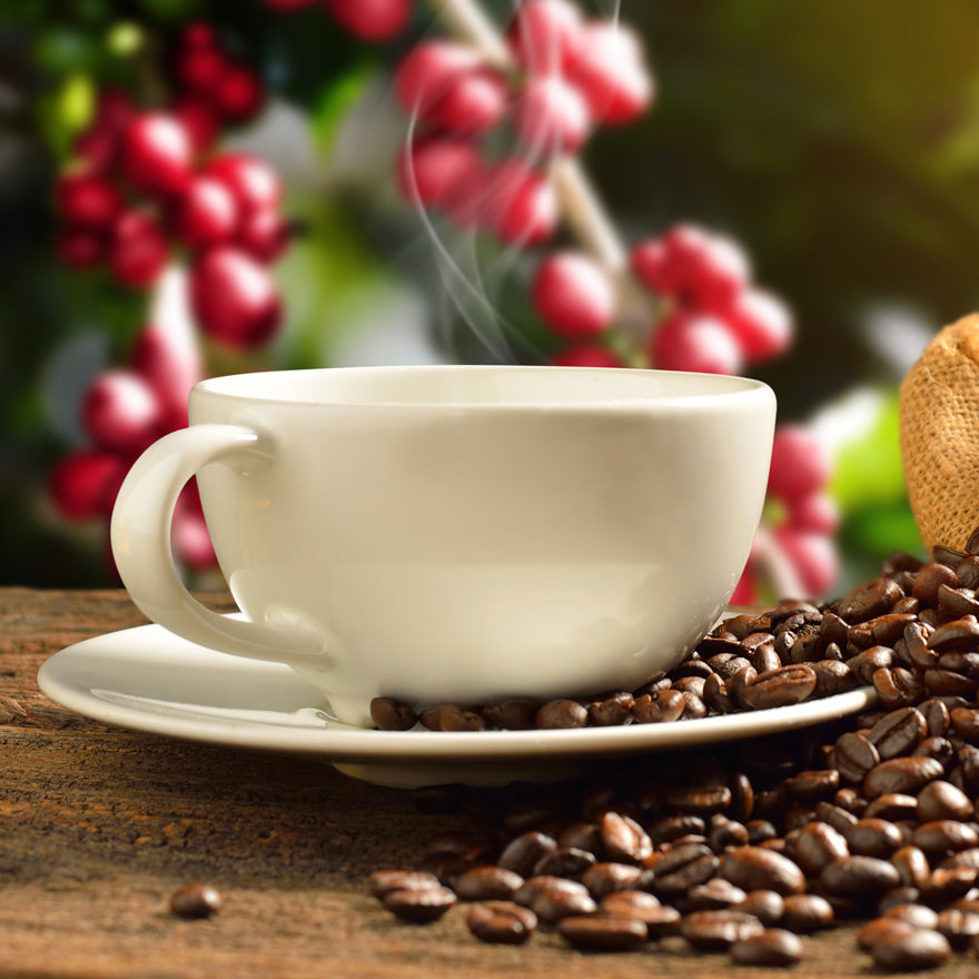 Coffee Sale