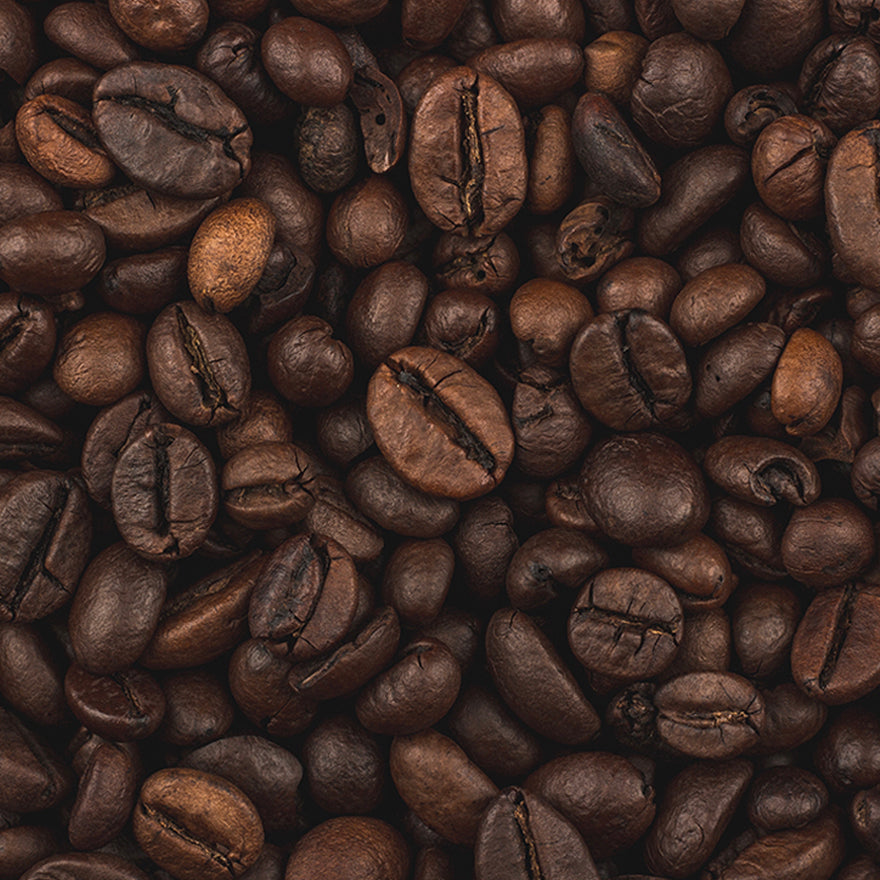 Dark Roast Family